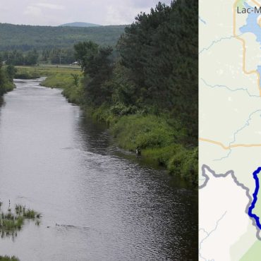 2800 arbres pour ramener les poissons dans la rivière Arnold